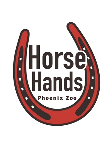 Mini Horse Hands: July 13, 20, 27, 2024 9:00 - 10:00am