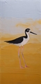 Black Necked Stilt, Brit Hansen