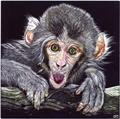 Cheeky Monkey, Sonja Jones