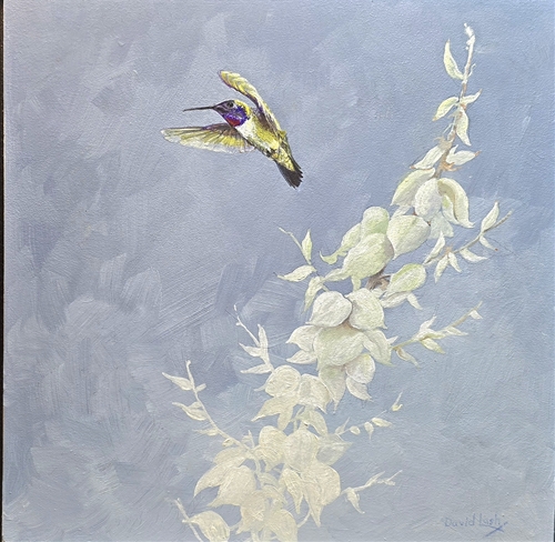 A Display of Finery, David Lash