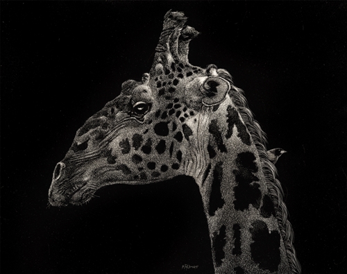 My Oxpecker Friend, Anne Palmer