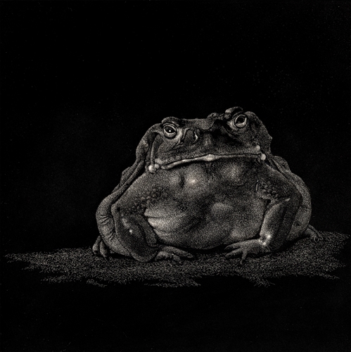 "Toad"-ally, Anne Palmer