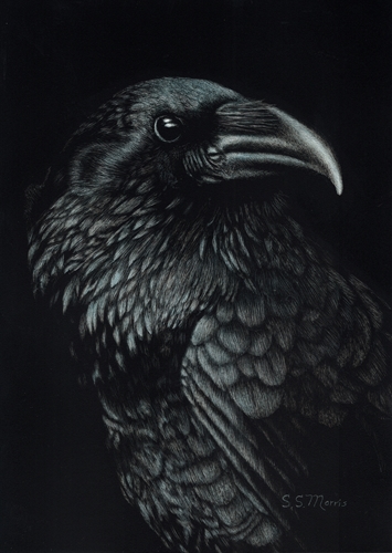 Blue Raven, Susan Morris