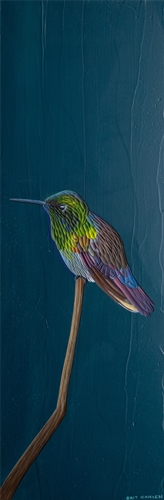 Berylline Hummingbird, Brit Hansen