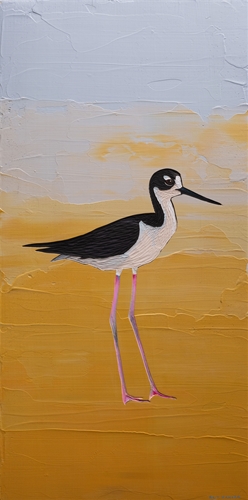 Black Necked Stilt, Brit Hansen