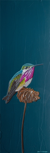 Calliope Hummingbird, Brit Hansen