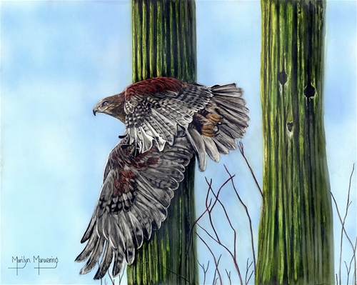 Desert Flight, Marilyn Manwaring