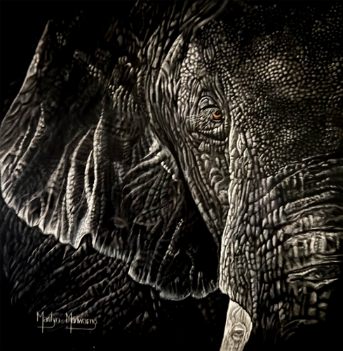 Ebony and Ivory, Marilyn Manwaring