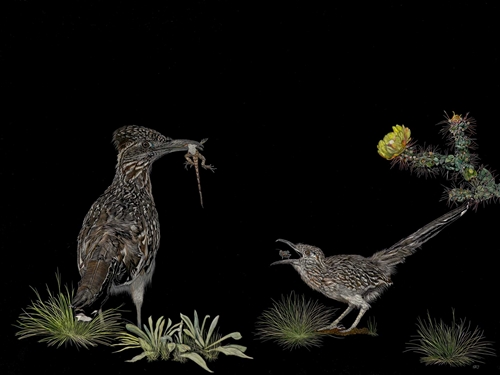 Fledgling, Sonja Jones