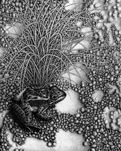 Hiding In Plain Sight, Susan Morris