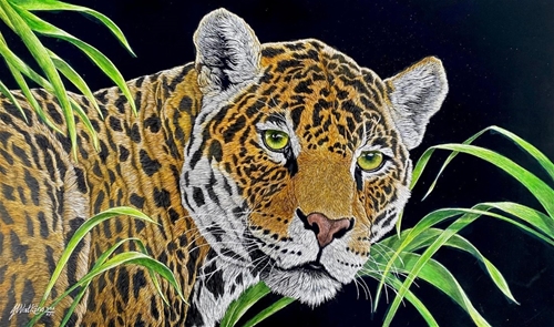 Predatory Gaze, Joe Watkins