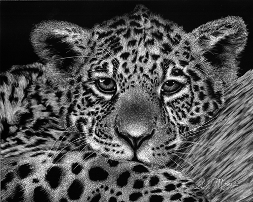 Just Dozing, Susan Morris