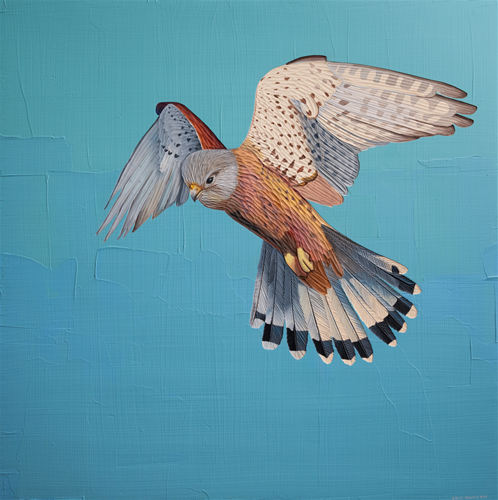 American Kestrel by Brit Hansen