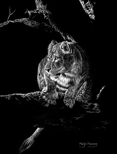 Lady in Waiting, Marilyn Manwaring