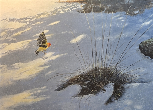 May the First, David Lash