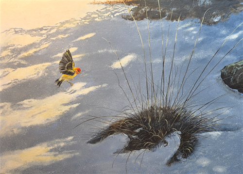 May the First by David Lash