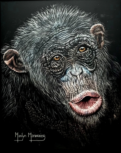 Monkey Business, Marilyn Manwaring