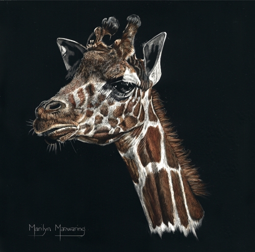 No Mascara Needed, Marilyn Manwaring