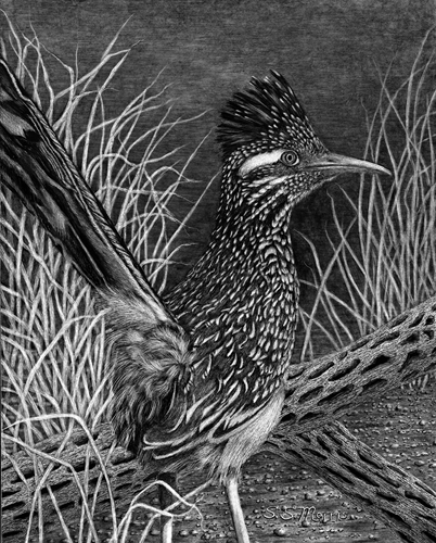On High Alert, Susan Morris