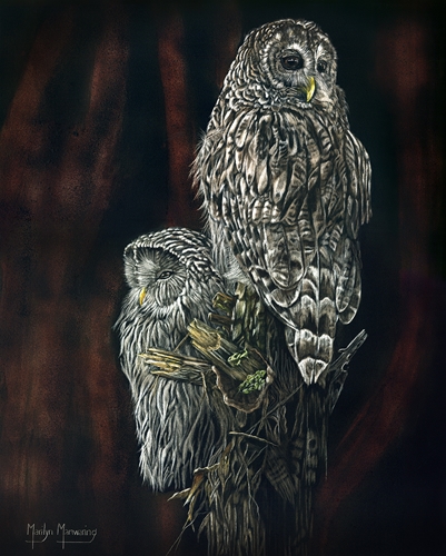 Parliament of Owls, Marilyn Manwaring
