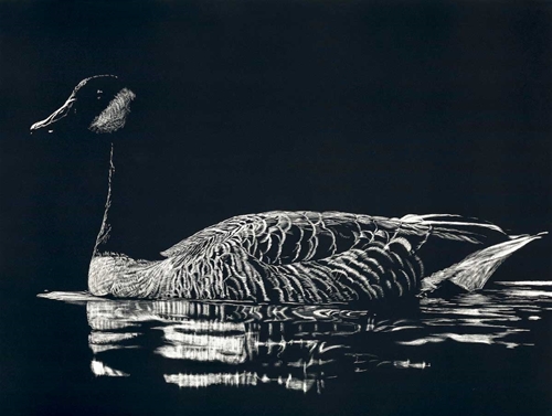 Canadian Honker, Sonja Jones