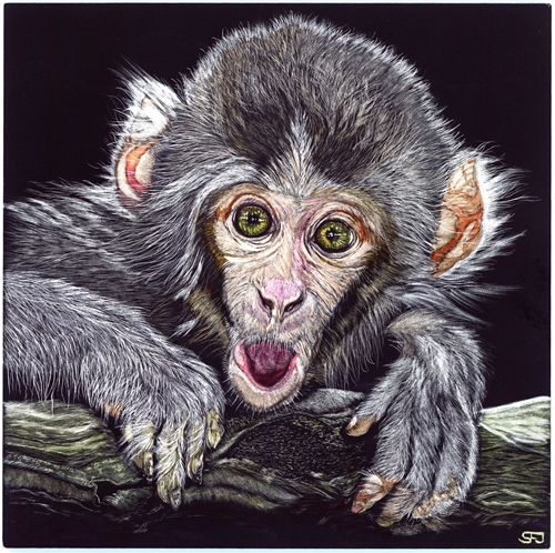 Cheeky Monkey, Sonja Jones