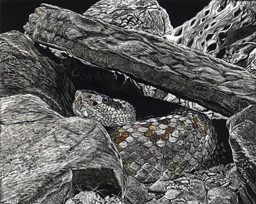 Rattler in the Rocks, Sonja Jones